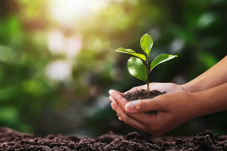 IEMA Sustainability