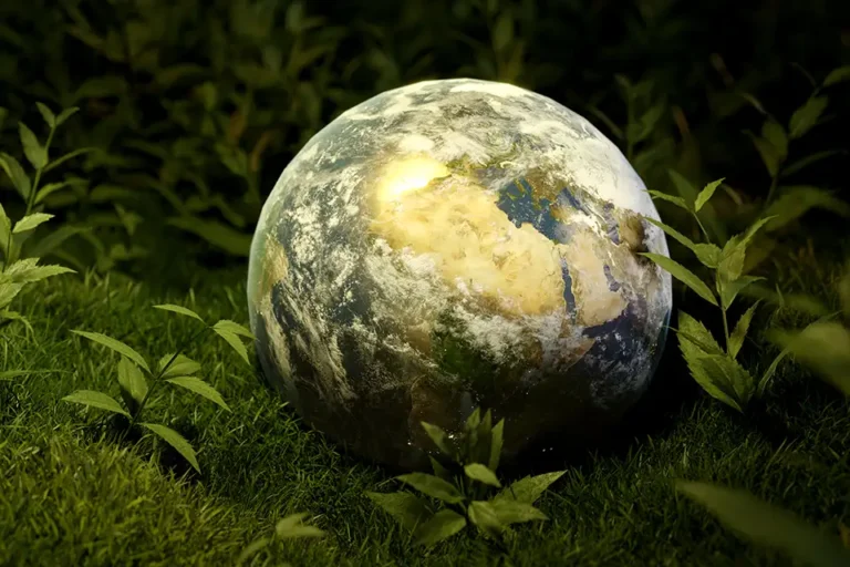 NCFE L2 Climate change