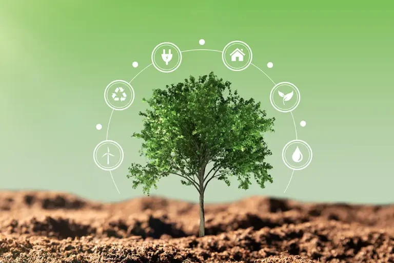 NOCN L3 Sustainability