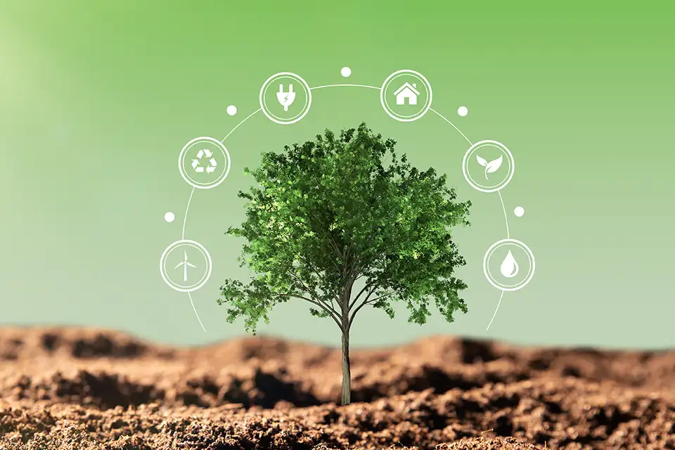 NOCN L3 Sustainability