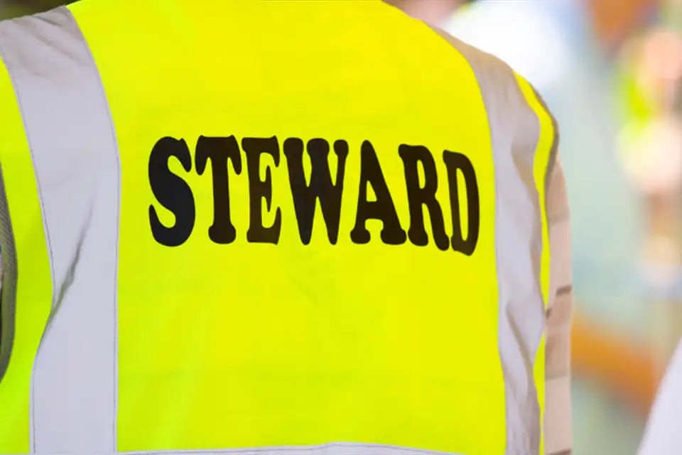 Restart Scheme steward