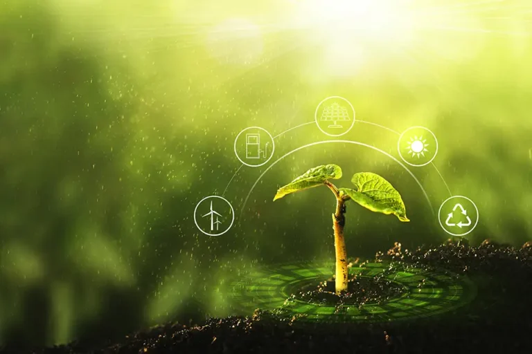 Foundation Certificate in Environmental Management